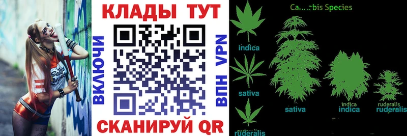 Магазины продажи наркотиков Гвардейск Героин  Марихуана  Меф  Гашиш 
