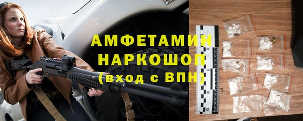 прущие грибы Алзамай