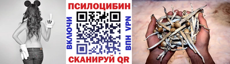 Псилоцибиновые грибы мицелий  Гвардейск 